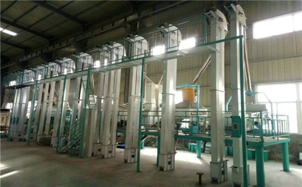 大米加工設(shè)備