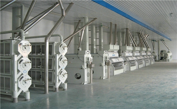 10噸級大米加工機械